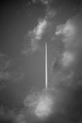 FLY AWAY -Ref. L1002920, South of France - 2024 © Gilles AUQUIER